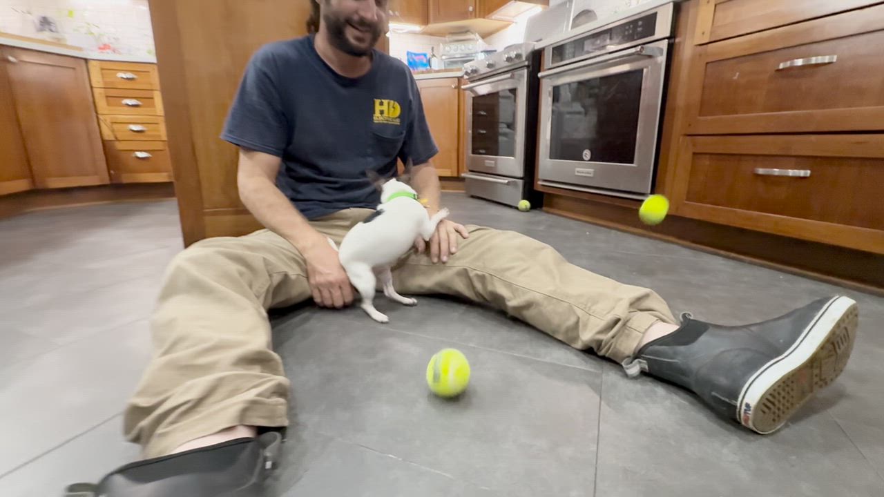 Enlarge Hamster, an adopted Chihuahua in New Orleans, LA video 5/6