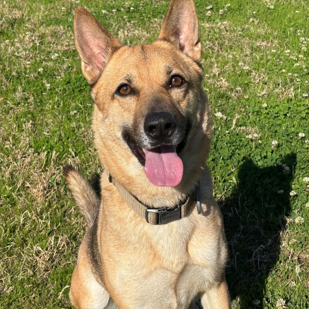 Marily — thumbnail 6