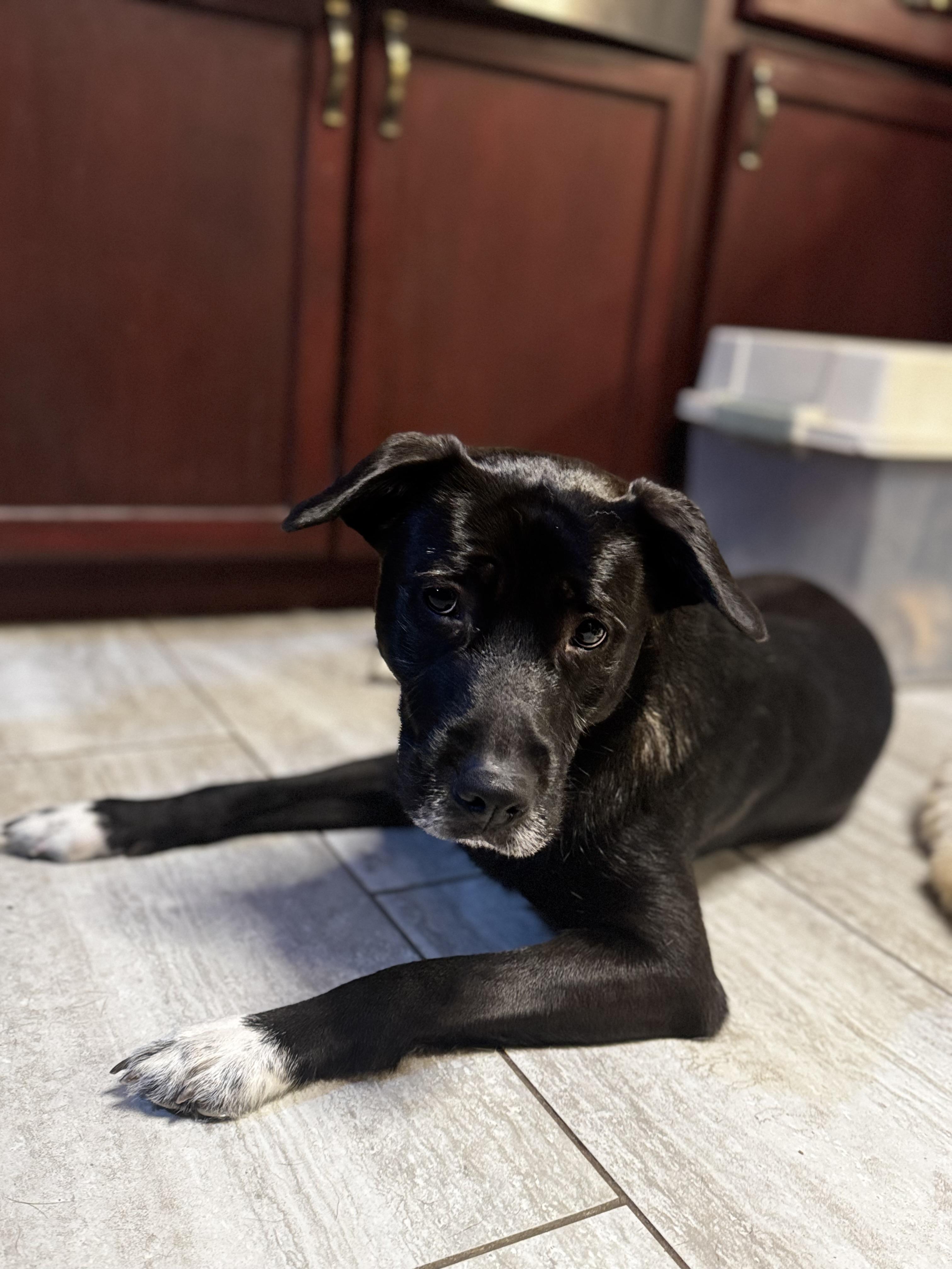 The Wonder Twins! thumbnail 5