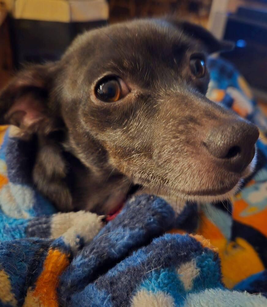 Regina — thumbnail 3