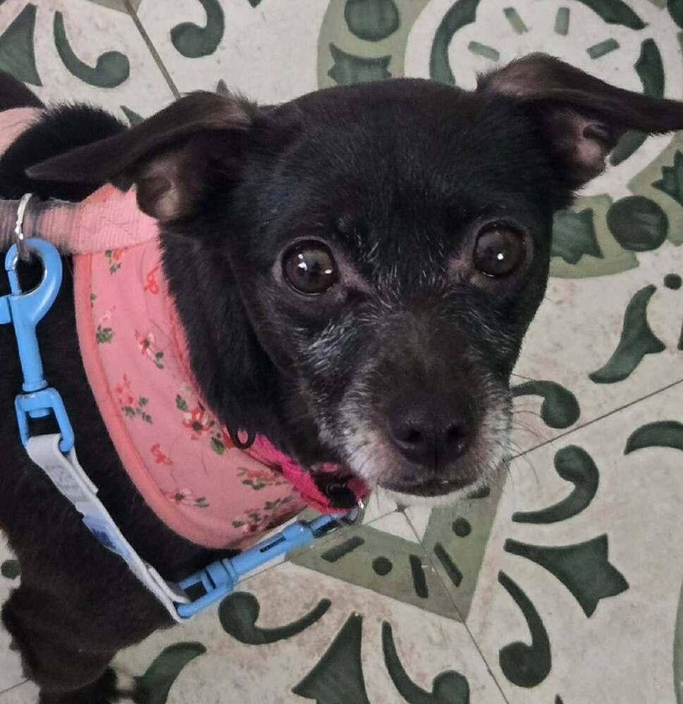 Regina — thumbnail 6