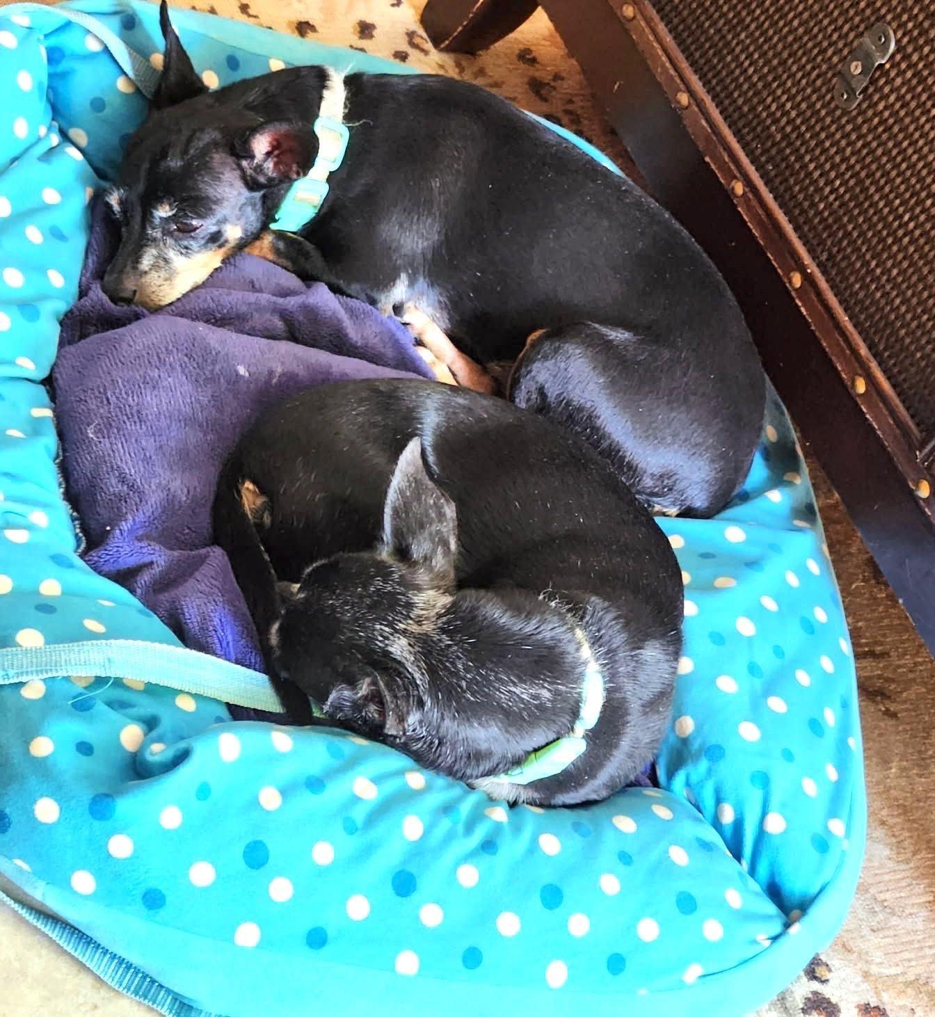 Lily and Fiona photo 5