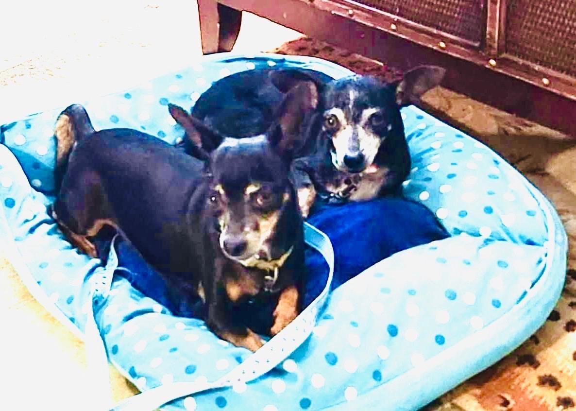 Lily and Fiona photo 2