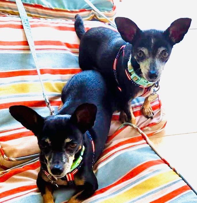 Lily and Fiona, Senior Female unknown