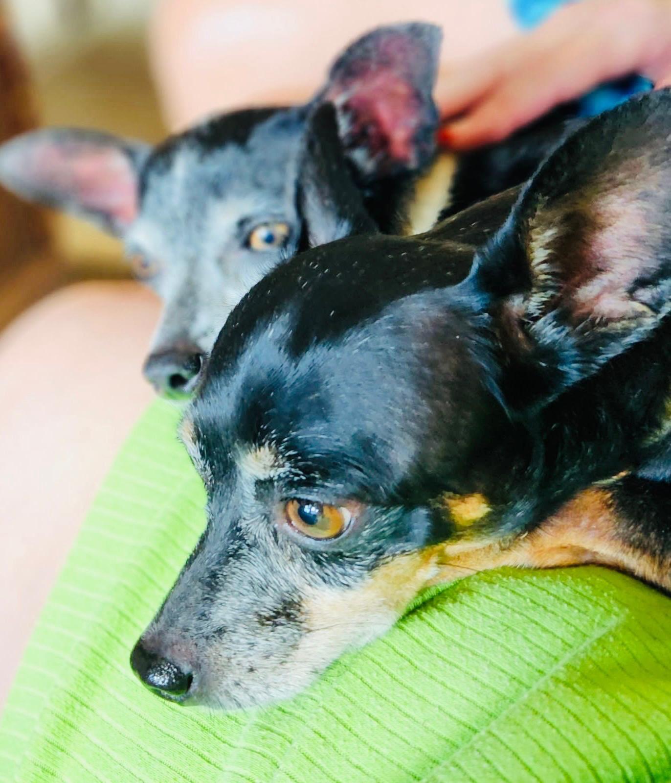 Lily and Fiona photo 3