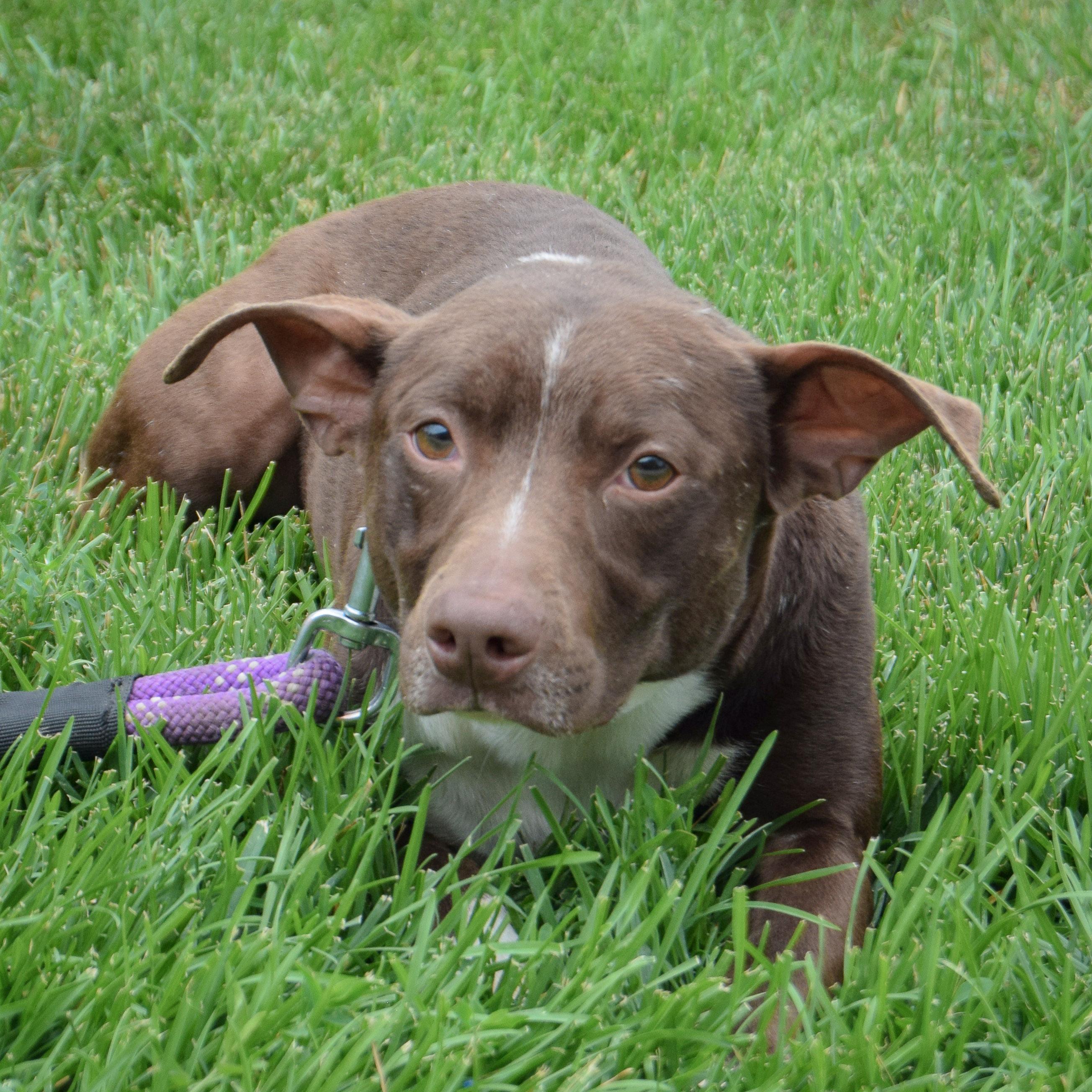 Baby Boy photo 2