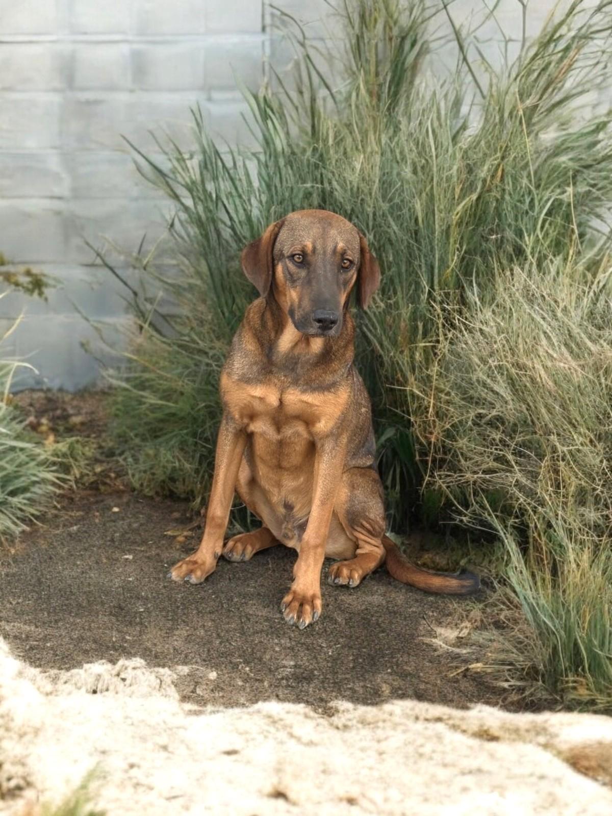 D.J. — thumbnail 3