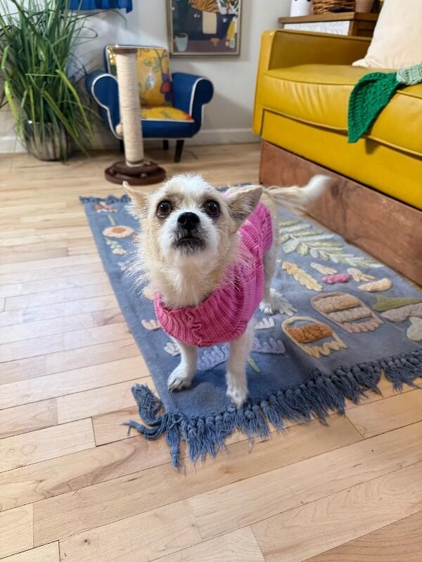 Miss Fancy Girl — thumbnail 3