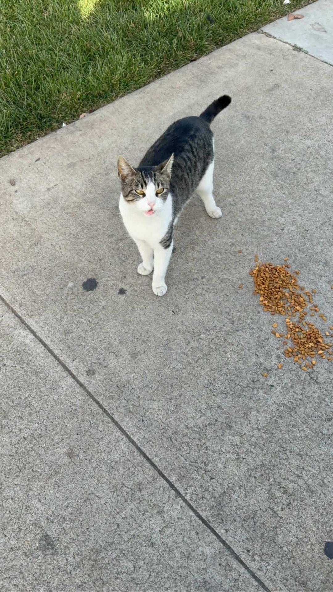 BunBun (Bunny) — thumbnail 2