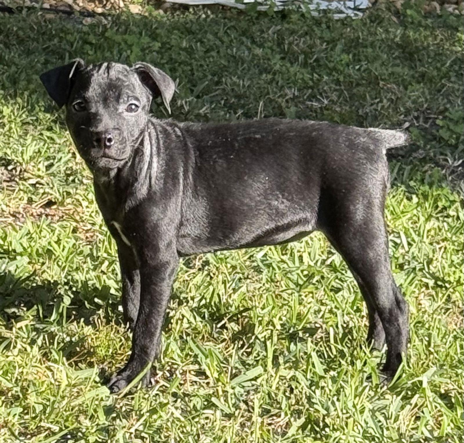 Quimby * — thumbnail 2