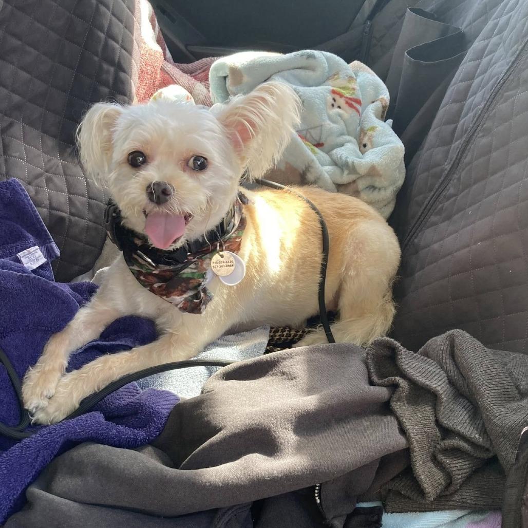 Einstein — thumbnail 2