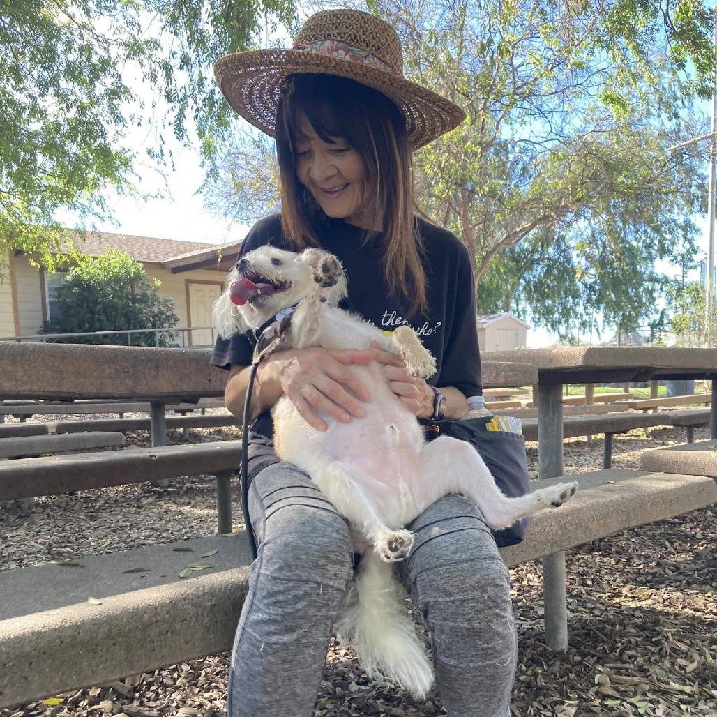 Einstein — thumbnail 4