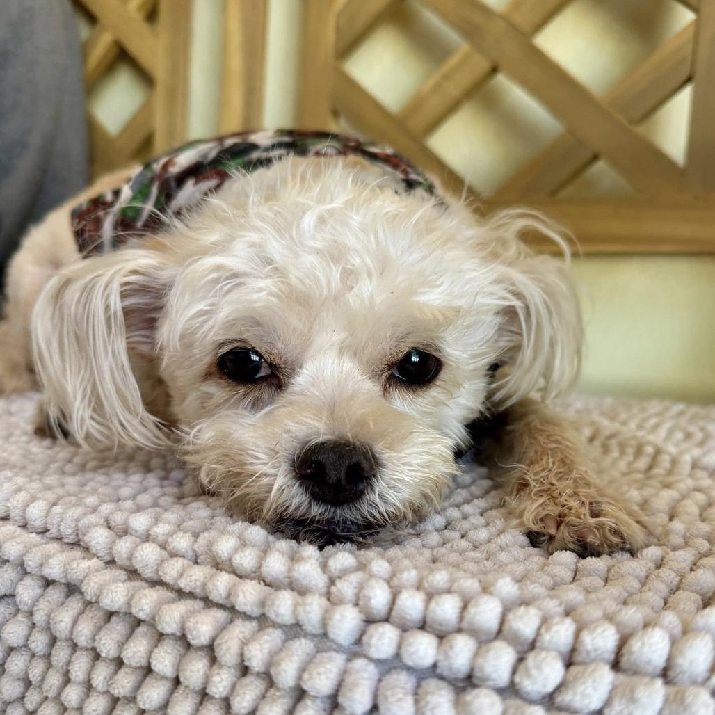 Einstein — thumbnail 6