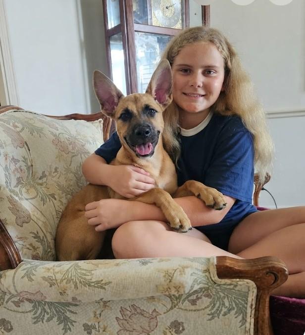 Enlarge Queen the Happy Cuddly Girl, a Adopted mixed breed in Indianapolis, IN image 5/6