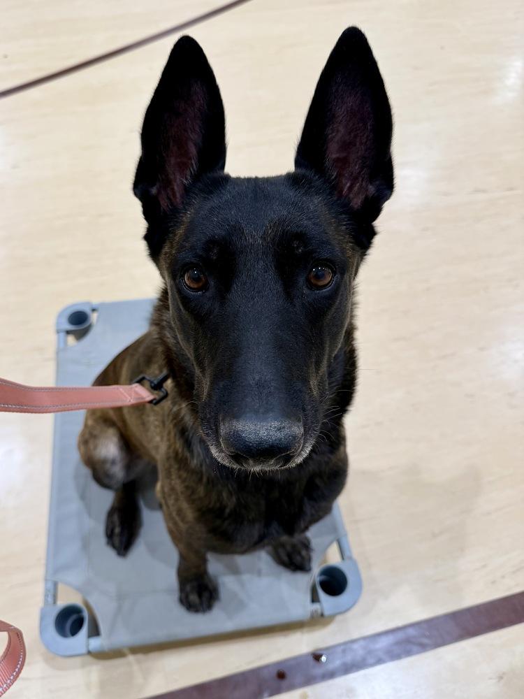 Sunday  Located In thumbnail 2