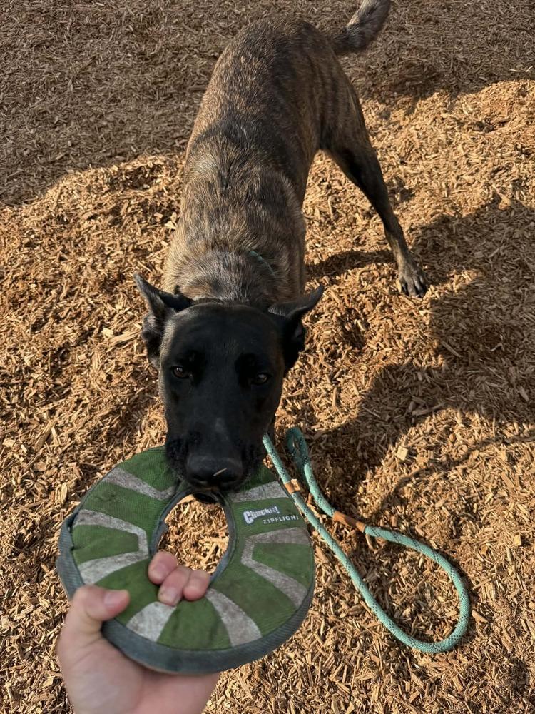 Sunday  Located In thumbnail 5