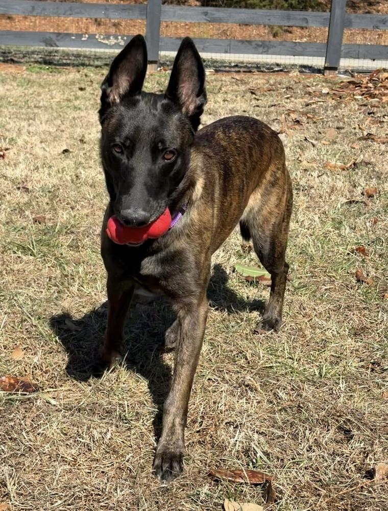 Sunday  Located In thumbnail 6