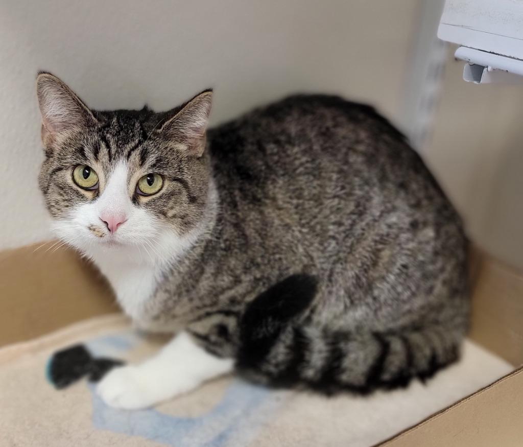 Gwen — thumbnail 2