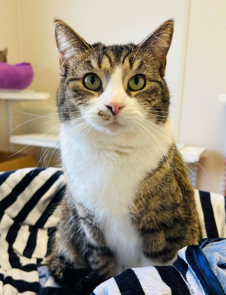 Gwen — thumbnail 3