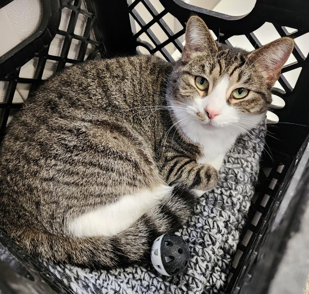 Gwen — thumbnail 4