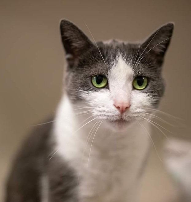 Baby — thumbnail 3