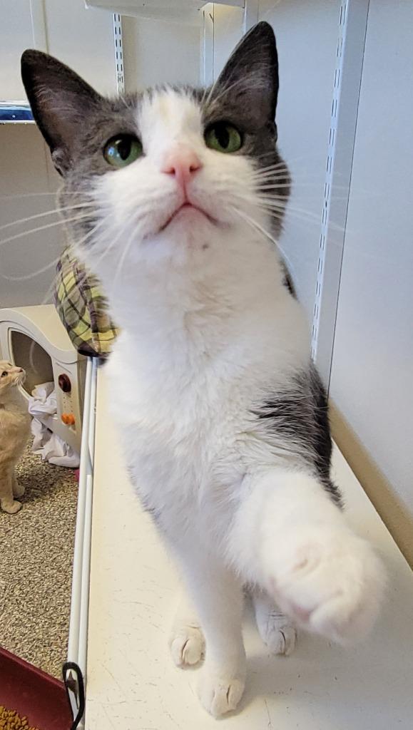 Baby — thumbnail 5