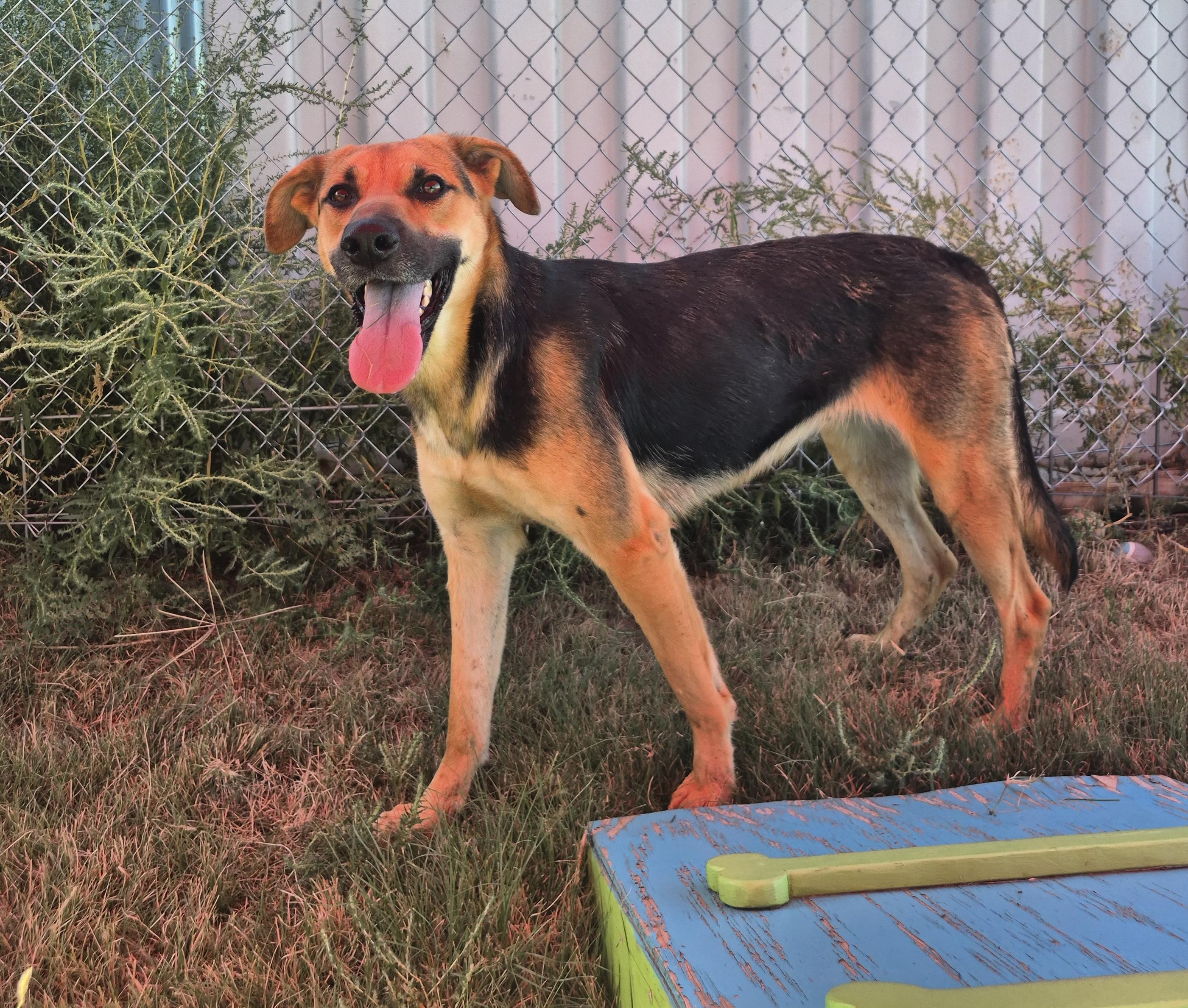 Esther — thumbnail 3