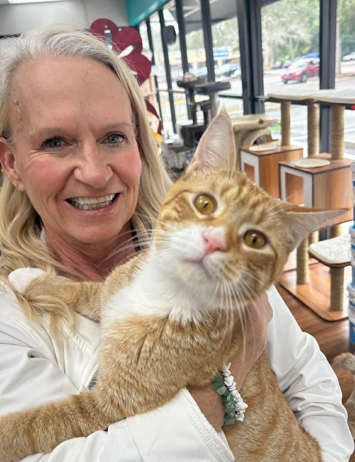 Enlarge Wonton, a Adoptable Tabby in Tavares, FL image 4/4