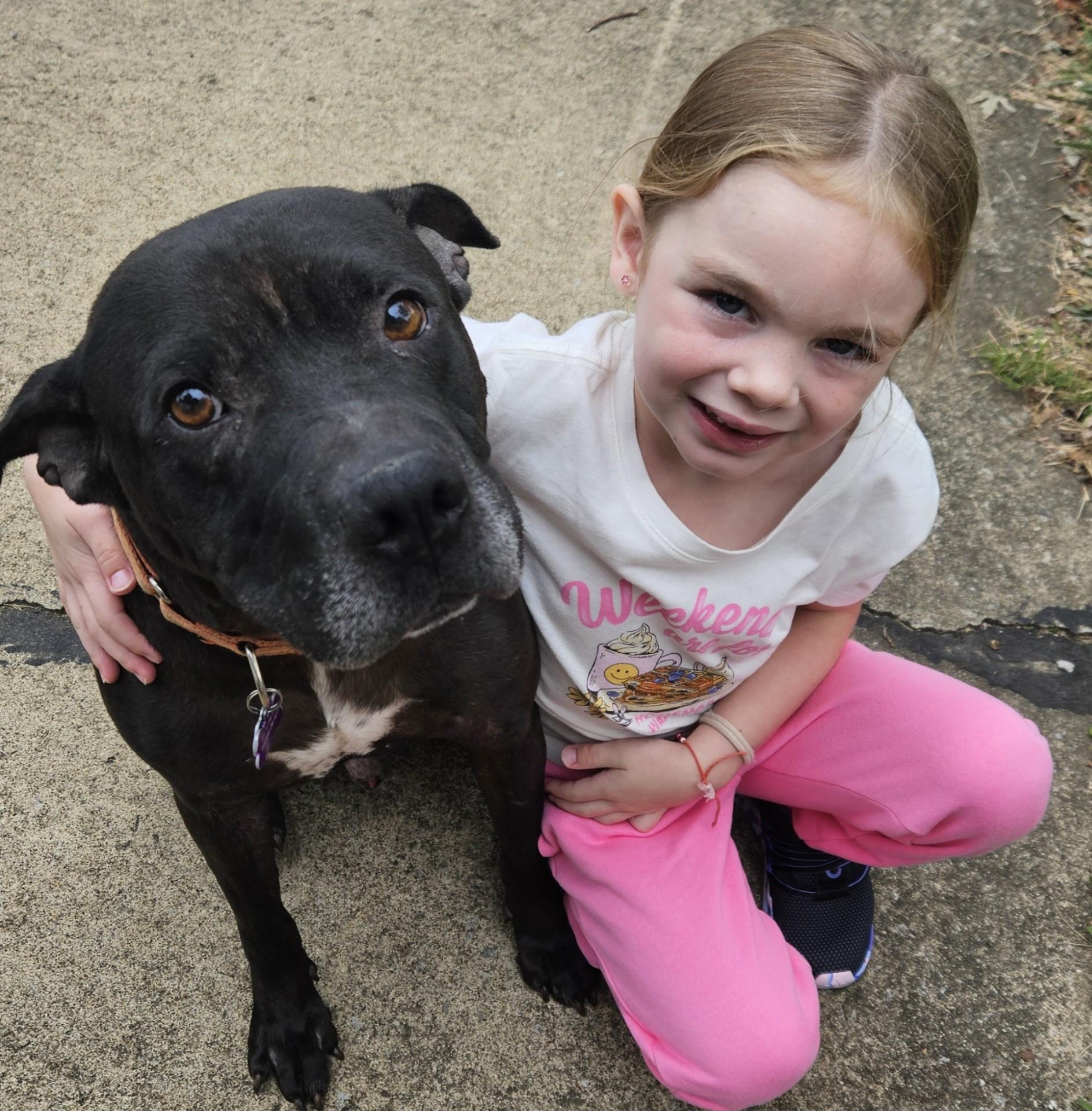 Emil, a Adoptable mixed breed in Youngstown, OH image 2/5