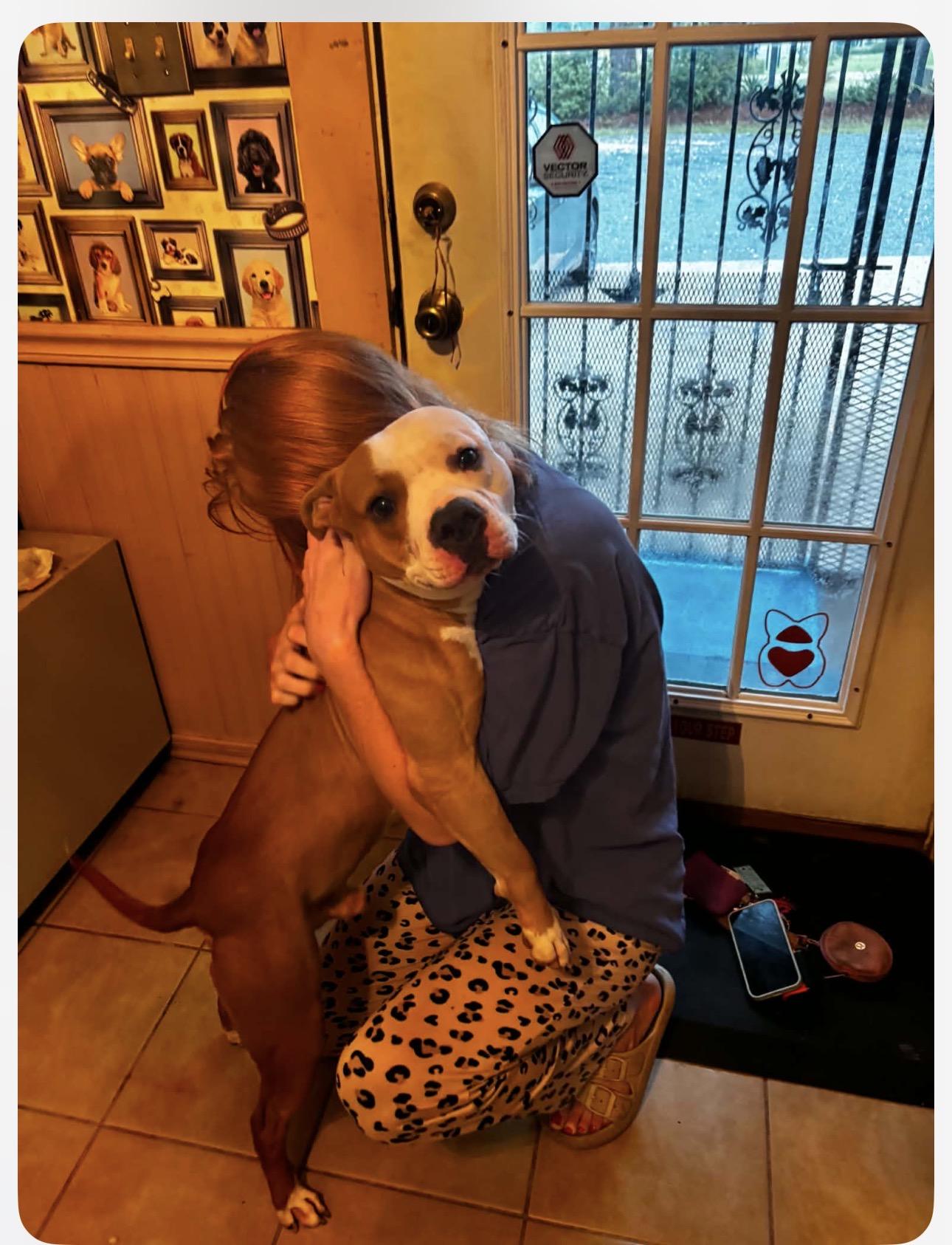 Enlarge Biggie, a ADOPTABLE Pit Bull Terrier in Lufkin, TX image 4/4