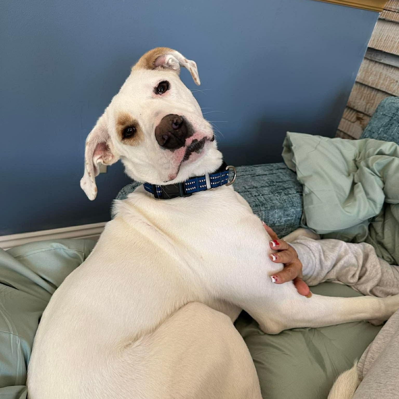 Lumos — thumbnail 3