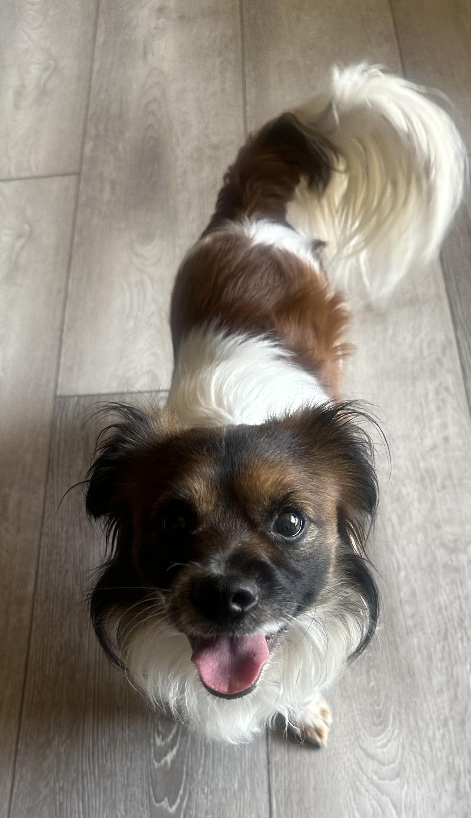 Maximilian!!