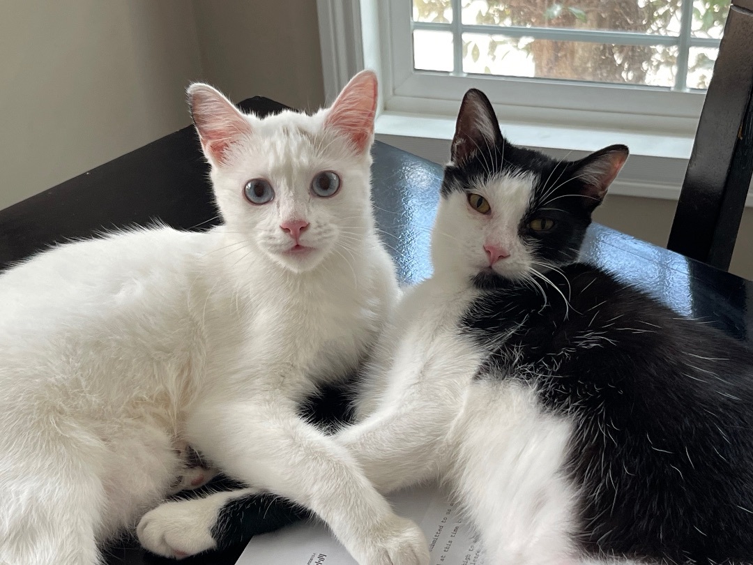 Bobbi Sue ***Bonded to Billie Sue***