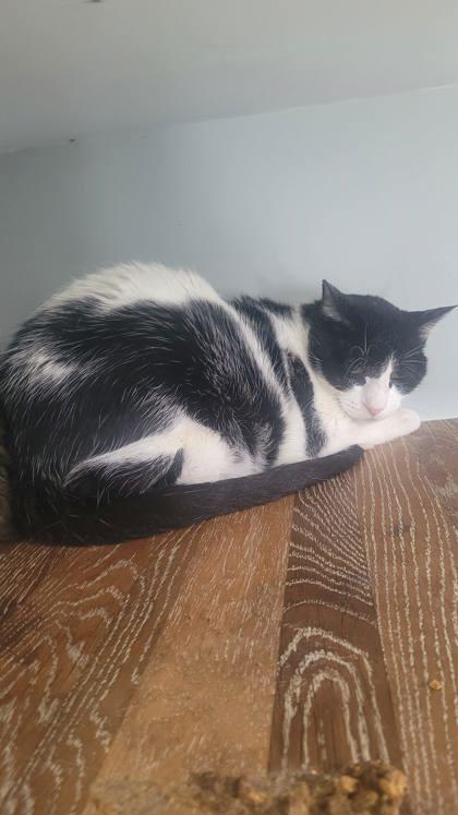 West — thumbnail 2