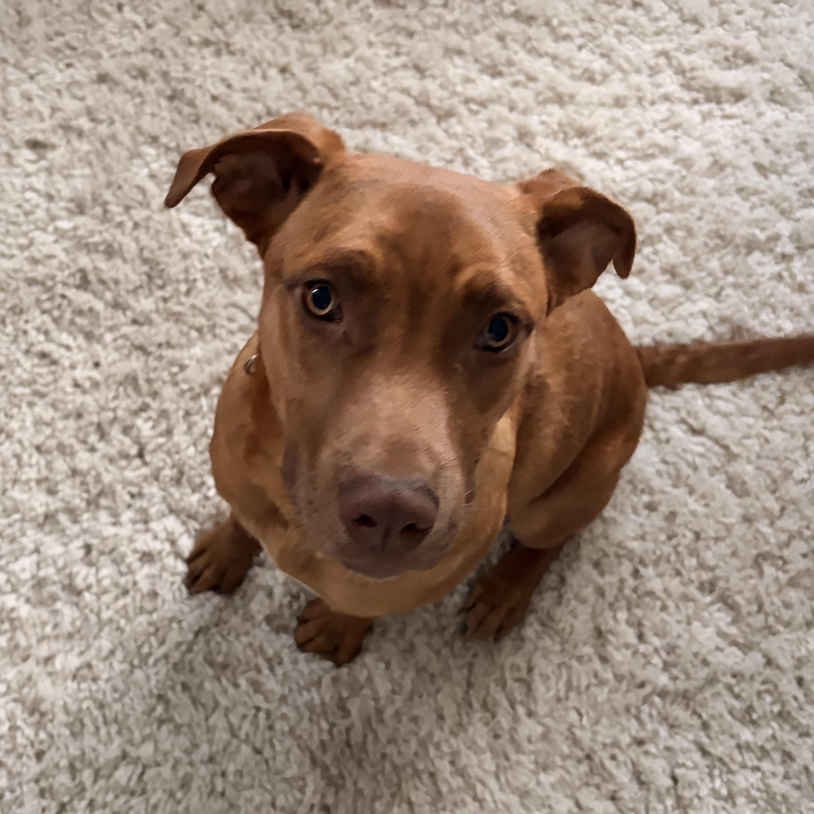 Addison — thumbnail 2