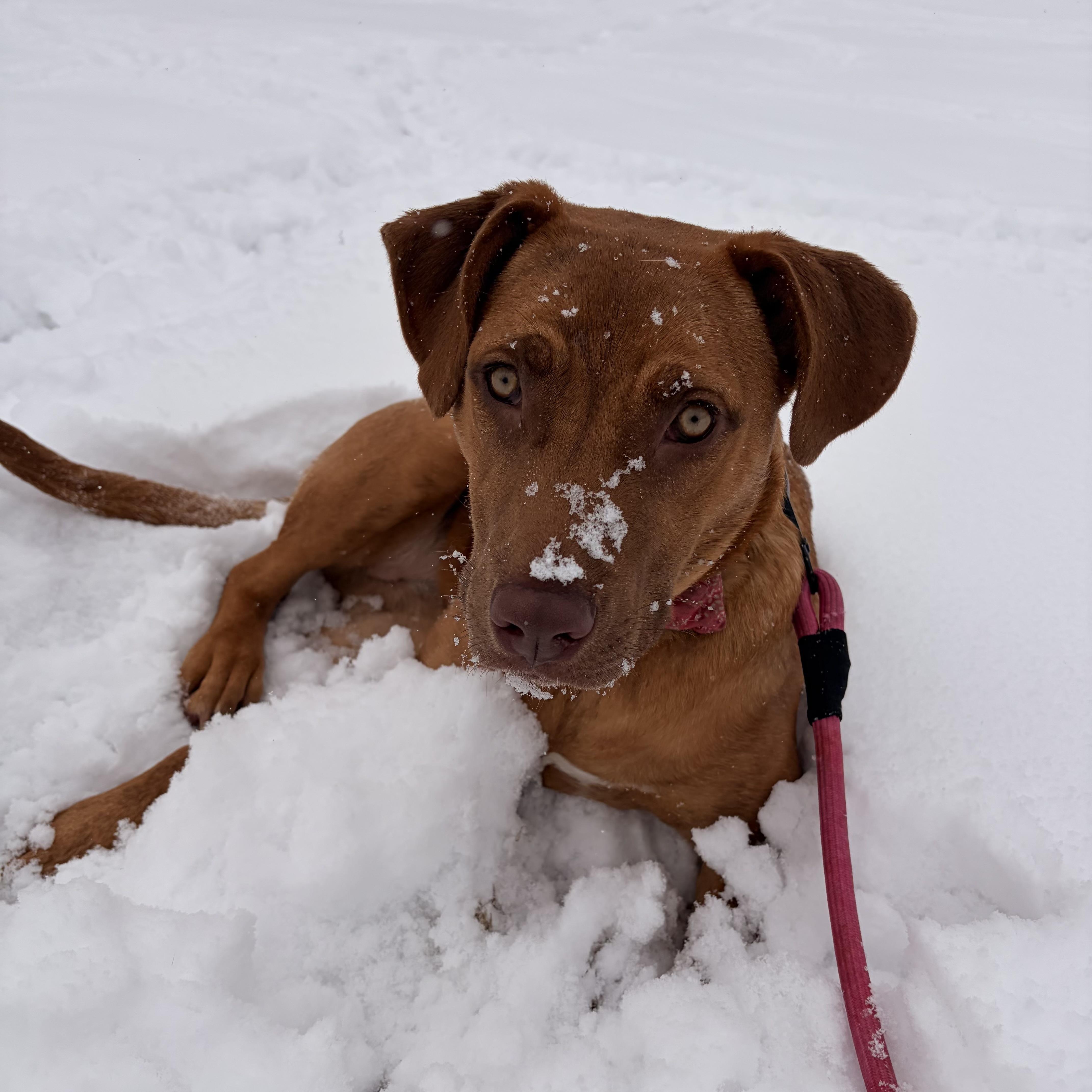 Addison — thumbnail 3