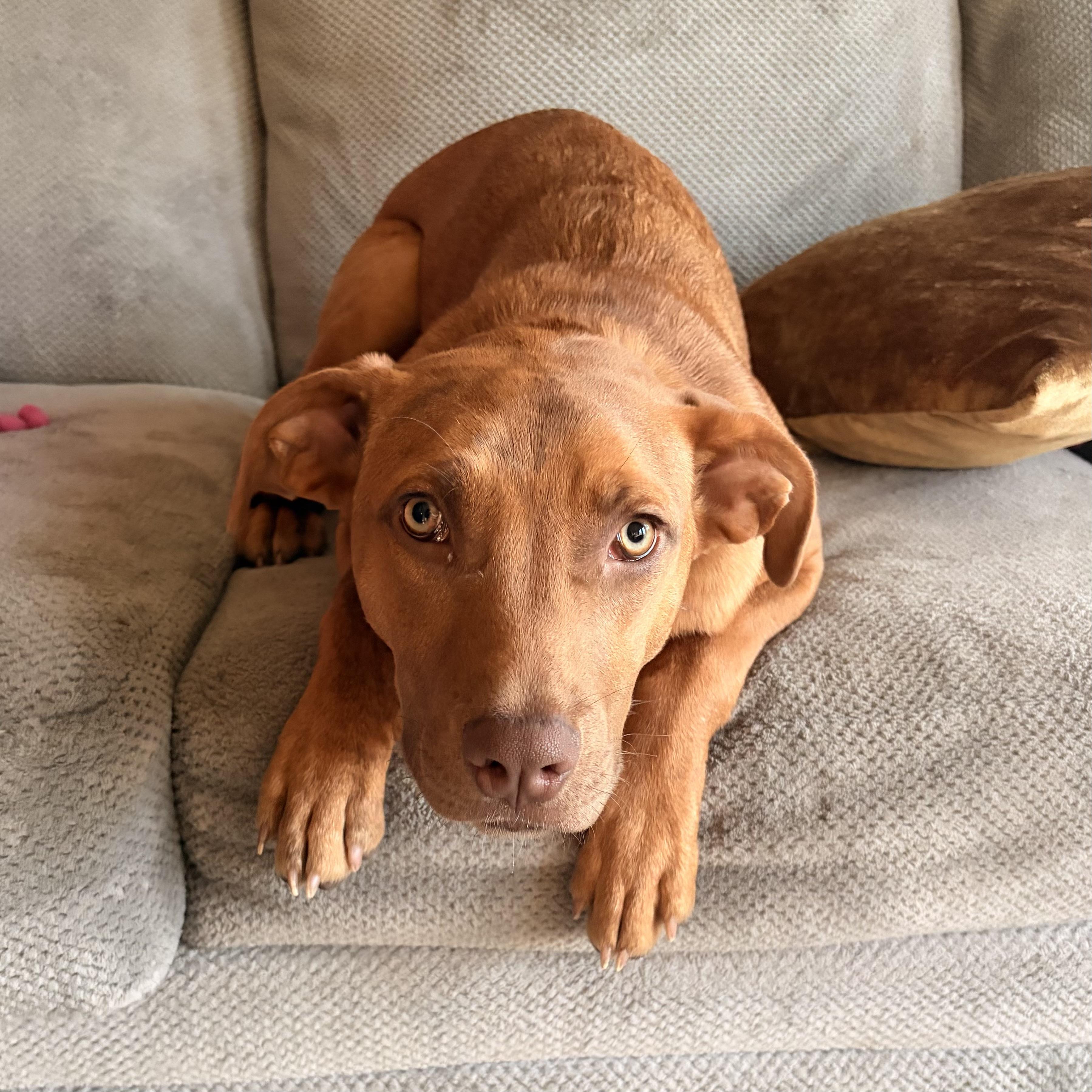 Addison — thumbnail 5