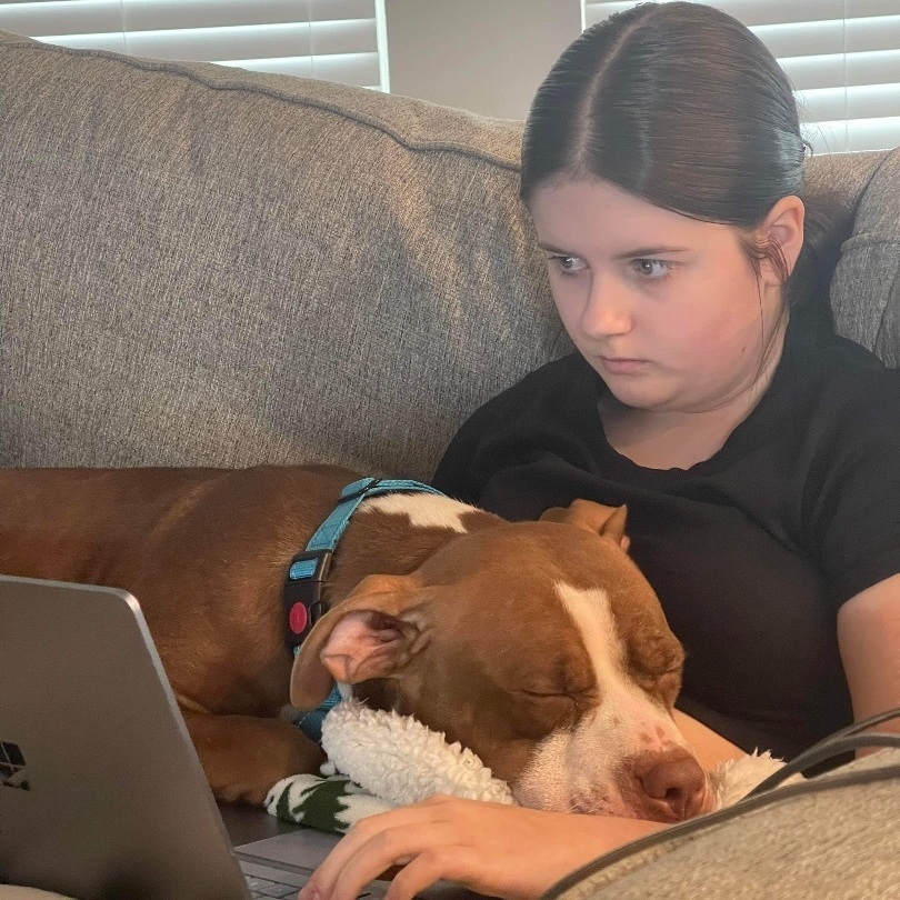 Stella, a Adoptable mixed breed in Colorado Springs, CO image 2/12