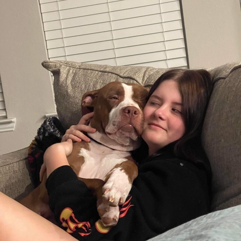 Stella, a Adoptable mixed breed in Colorado Springs, CO image 3/12