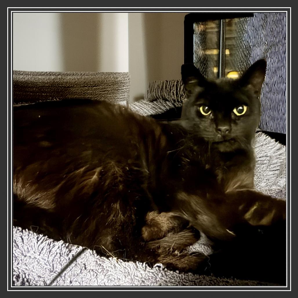 Selina — thumbnail 2