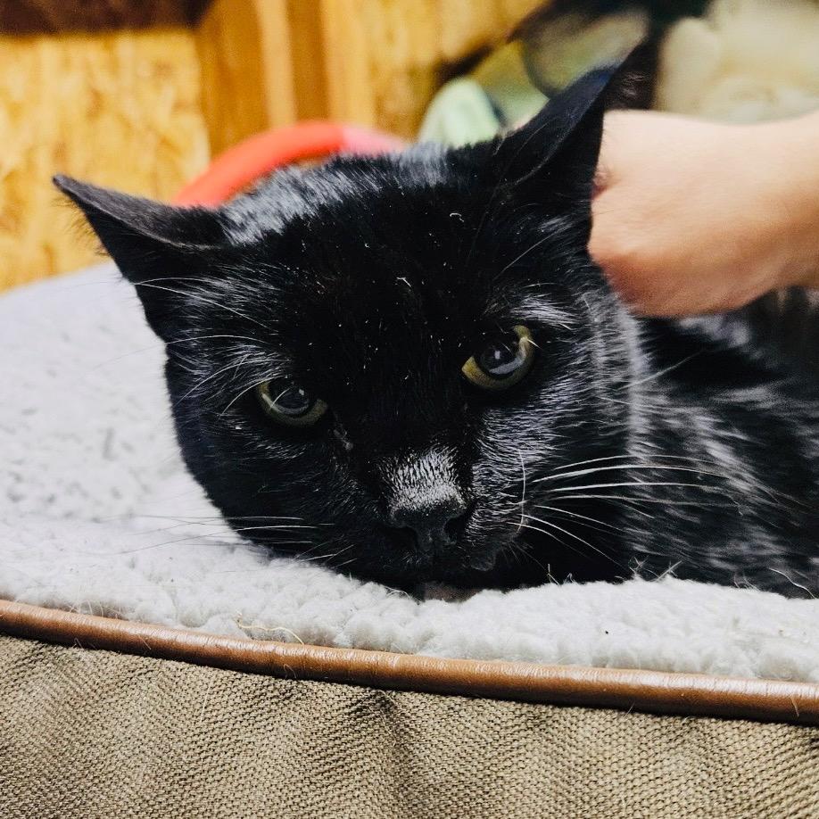 Selina — thumbnail 3