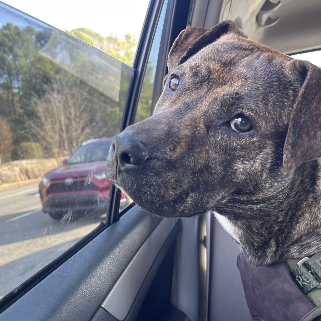 Felix — thumbnail 2