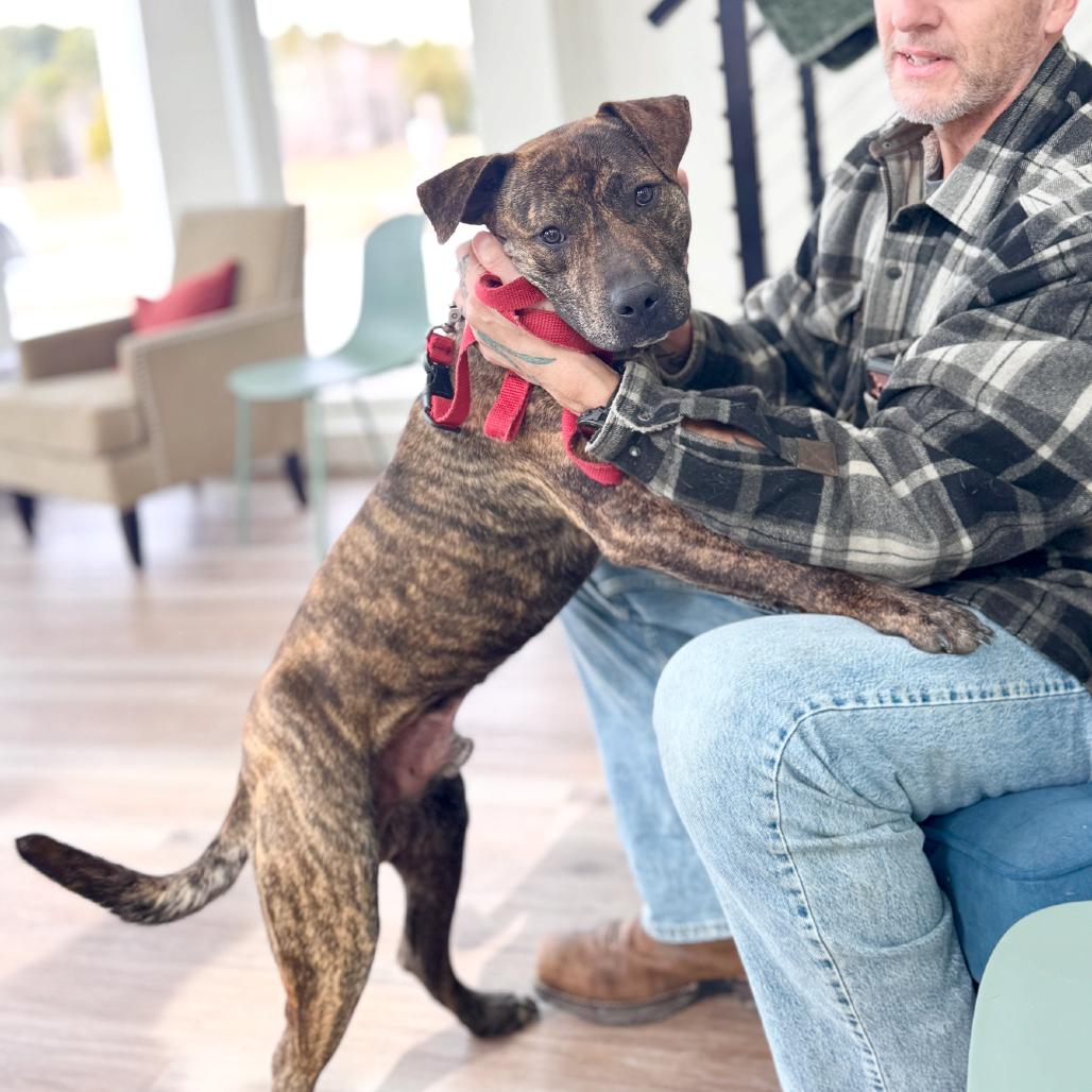 Felix — thumbnail 5