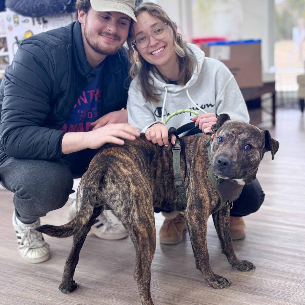 Felix — thumbnail 6