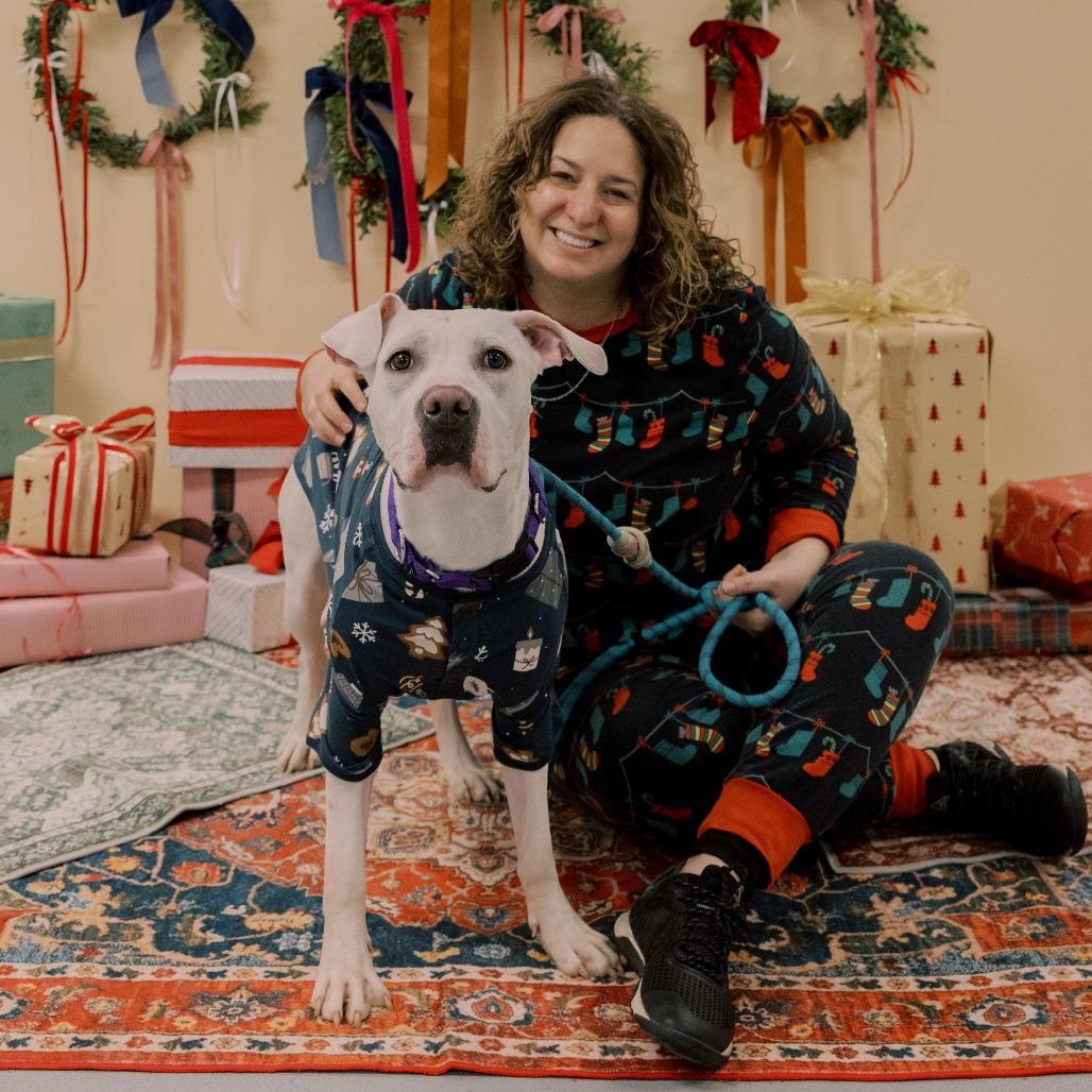 Marshmallow, a Adoptable Mixed Breed in Philadelphia, PA image 4/4