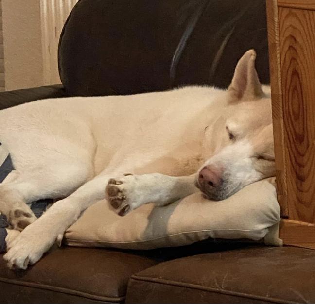 Salt — thumbnail 2