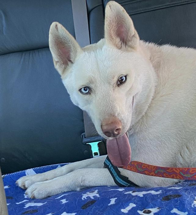 Salt — thumbnail 4