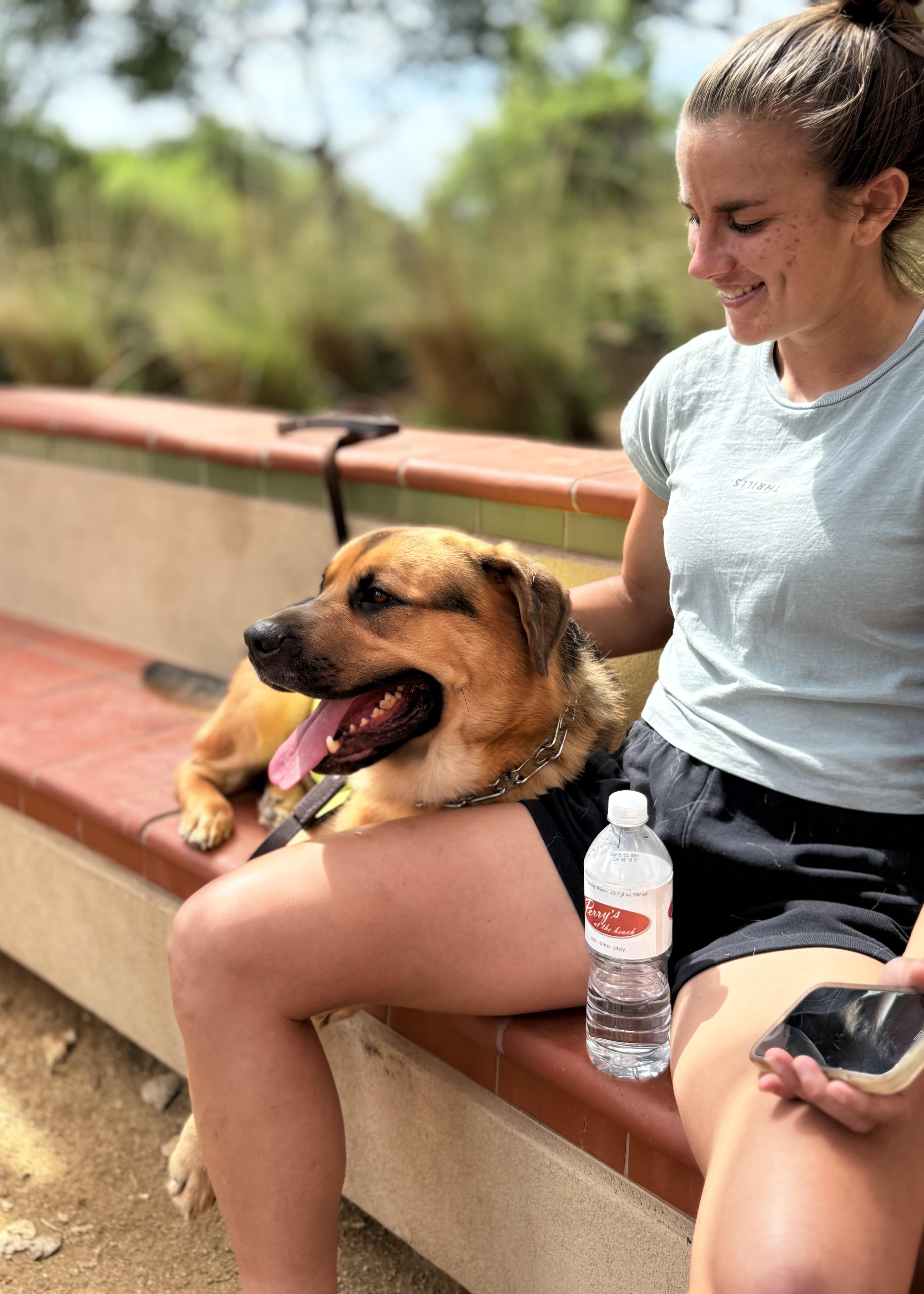 George Clooney, a Adoptable mixed breed in Thousand Oaks, CA image 5/6