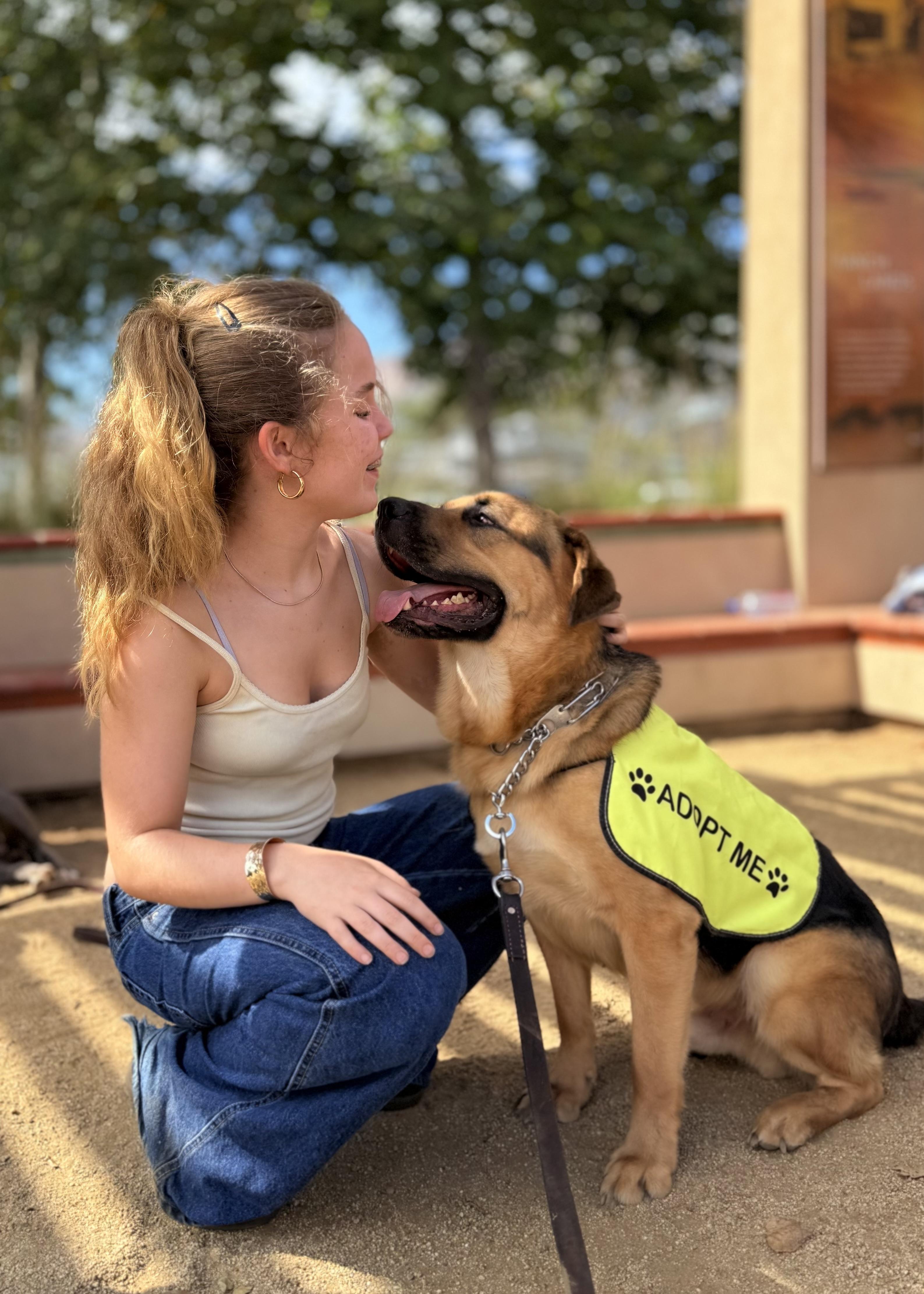 George Clooney, a Adoptable mixed breed in Thousand Oaks, CA image 3/6