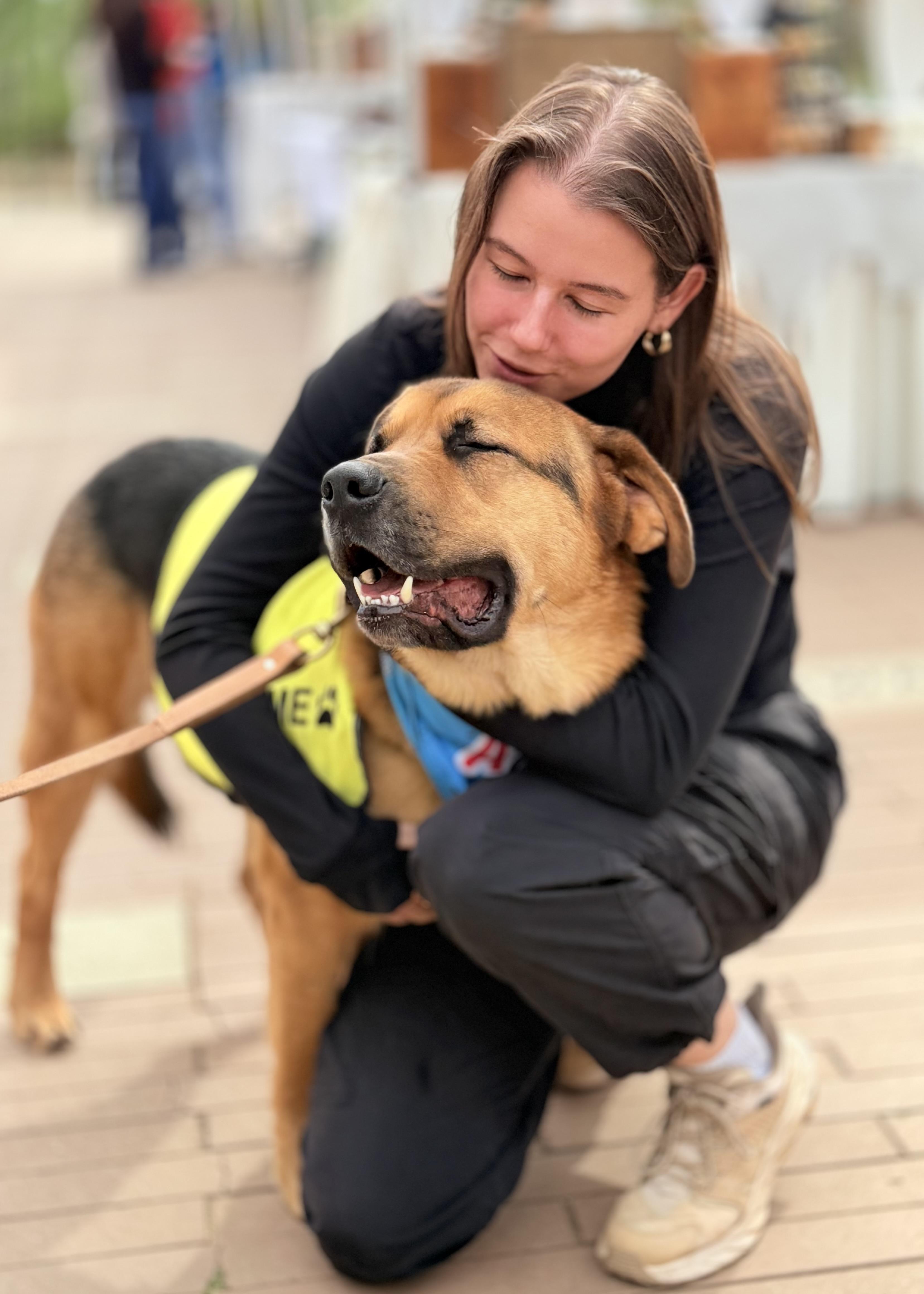 Enlarge George, a Adoptable mixed breed in Thousand Oaks, CA image 2/6